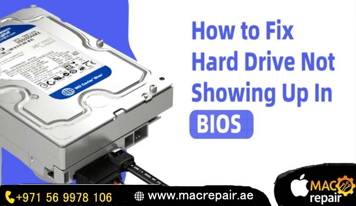 no hard drive detected in bios
